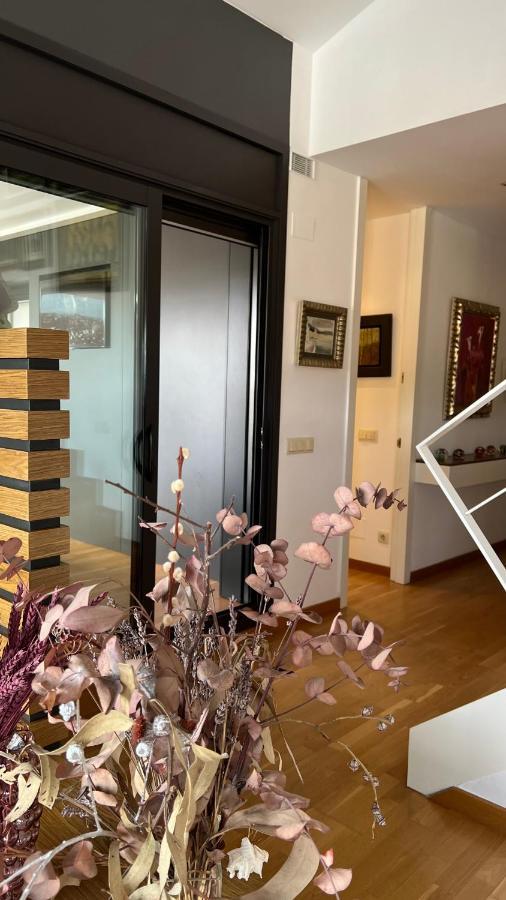 Atico De Diseno Con Terraza En El Centro De Olot Apartment Exterior foto